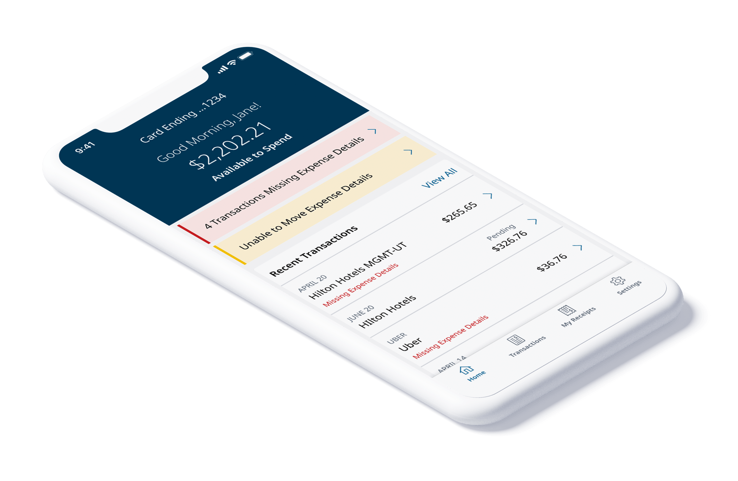 Multiple alert states for pending transaction issues